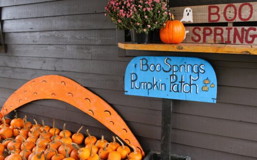 boo-springs-pumpkin-patch-sign